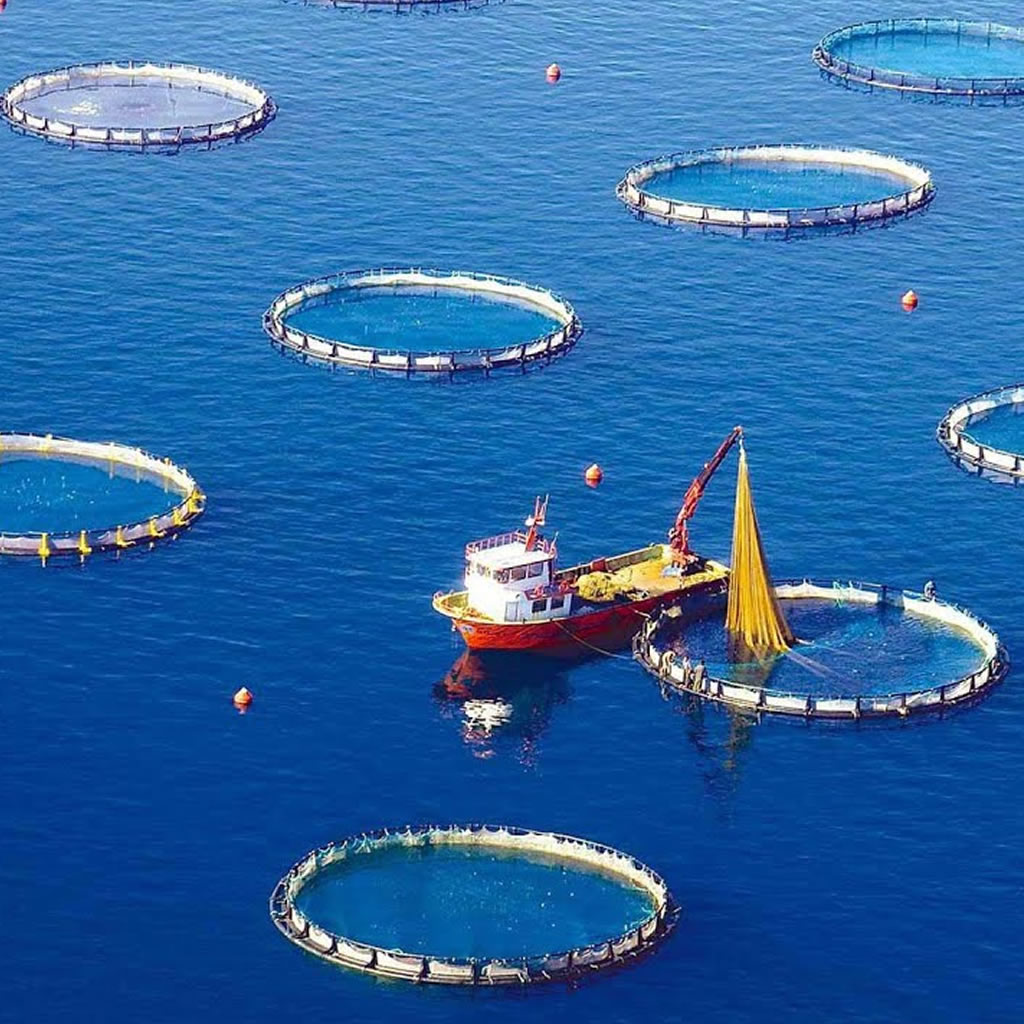 Balık Çiftliği Halatları